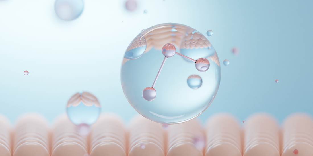 The Collagen Boosting Skincare Ingredients You Need To Know