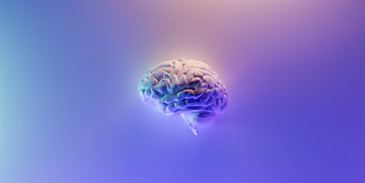 Menopause, Mood & Memory